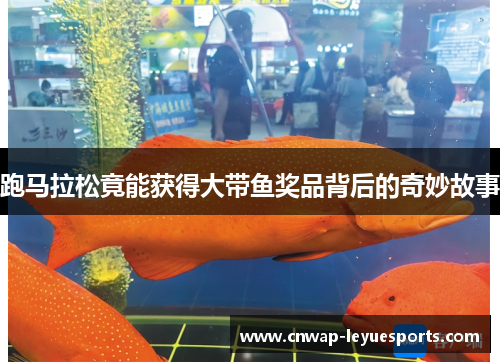 跑马拉松竟能获得大带鱼奖品背后的奇妙故事 跑马拉松竟能获得大带鱼奖品背后的奇妙故事
