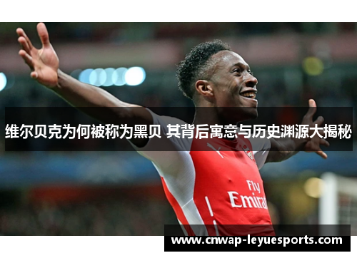 维尔贝克为何被称为黑贝 其背后寓意与历史渊源大揭秘 维尔贝克为何被称为黑贝 其背后寓意与历史渊源大揭秘