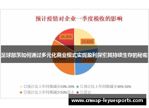 足球部落如何通过多元化商业模式实现盈利探索其持续生存的秘密