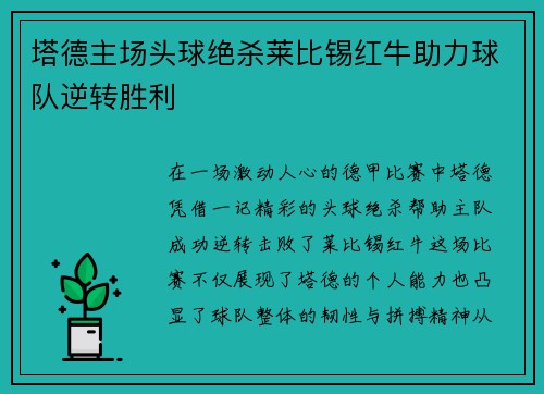 塔德主场头球绝杀莱比锡红牛助力球队逆转胜利